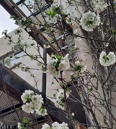 Apartmán El Cerezo Mendoza Exteriér fotografie